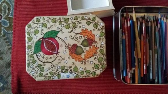 10422406_10203666039393374_2334410732403001975_n