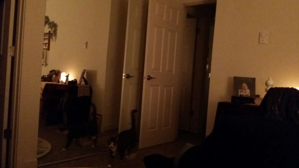 20161227_171120.jpg image