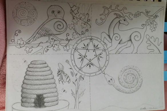 20170227_120536.jpg image